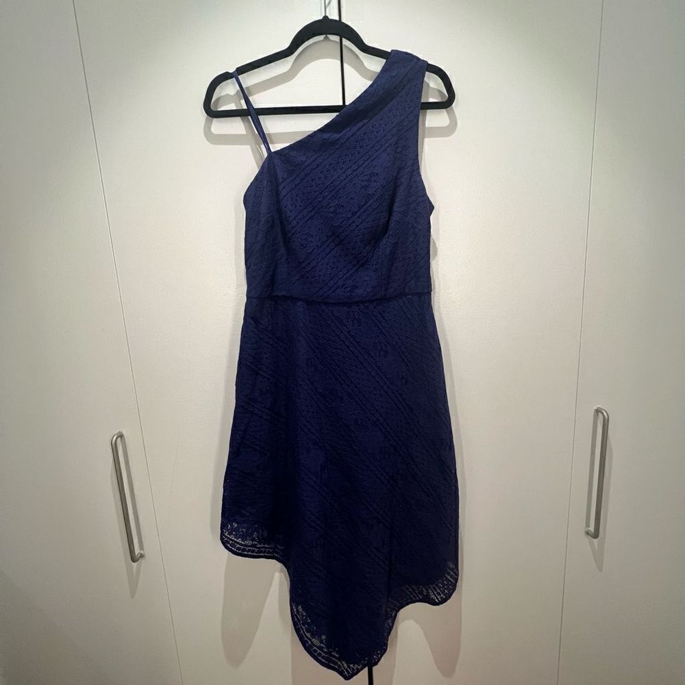 Adriana Papell Cotton One Shoulder Lace Dress in Navy - 10